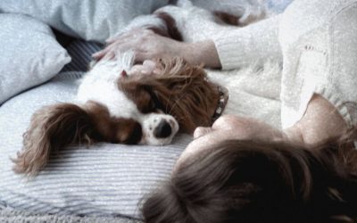 ¡A dormir con nuestro amigo peludo!