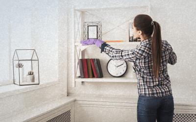 Primavera, Tiempo de renovación